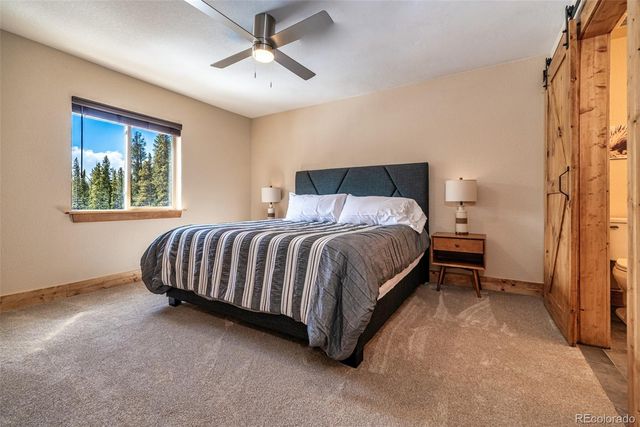 526 Porcupine Road, Fairplay, CO 80440