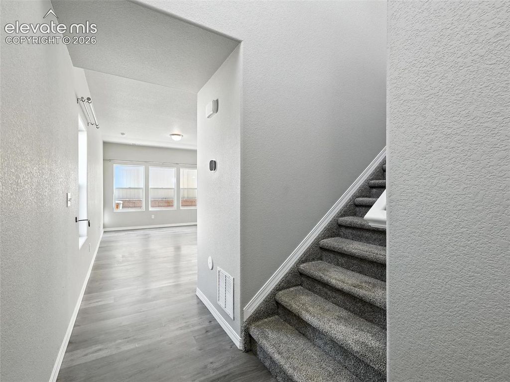 6222 Barr Point, Colorado Springs, CO 80924 — photo 2