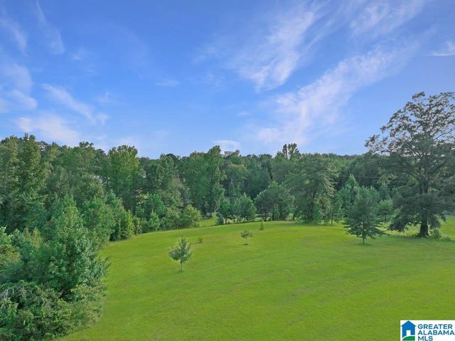 1317 POPLAR SPRINGS ROAD, Clanton, AL 35045