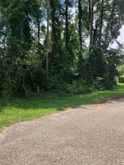 TBD Holly Drive, Onalaska, TX 77360