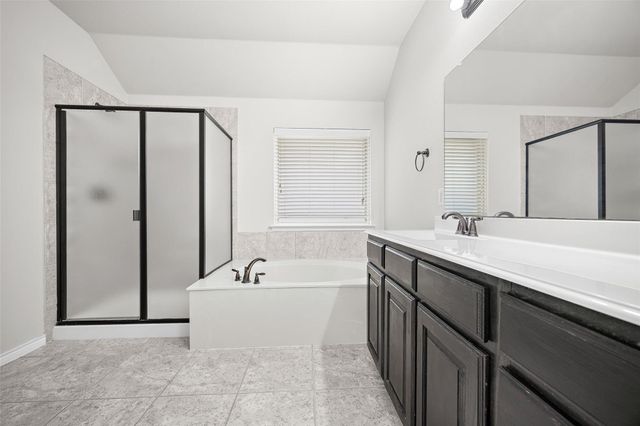 10005 Petrified Tree Lane, Mckinney, TX 75072