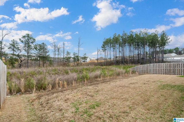 752 FISH CAMP ROAD, Chelsea, AL 35043