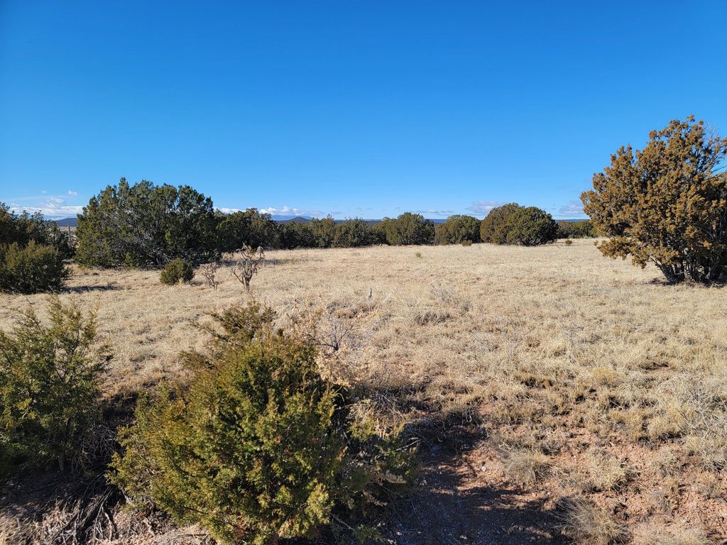 33 Bullock Road, Moriarty, NM 87035