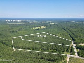 Gobbler Head Road, Poplarville, MS 39470