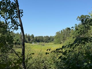 TBD Azalea Road, Pillager, MN 56473