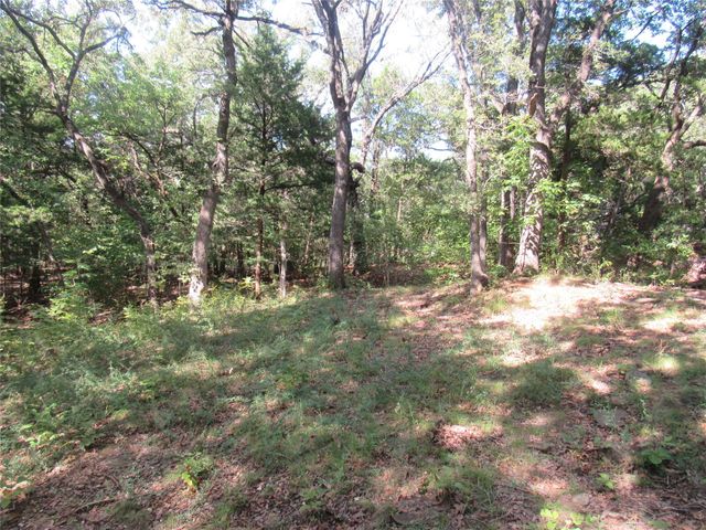 33 Queens Drive, Pottsboro, TX 75076