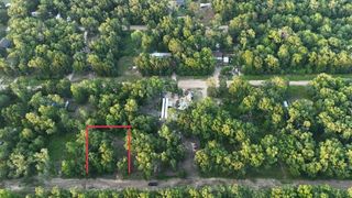 211 Panther Lane, Livingston, TX 77351