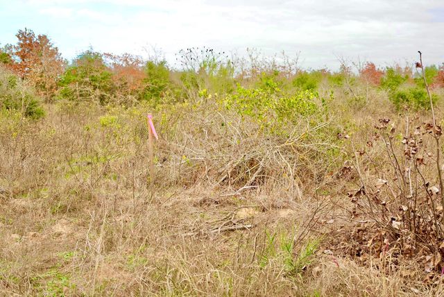 497 Cottletown RD, Smithville, TX 78957