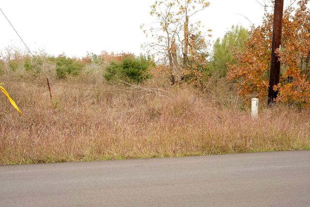 497 Cottletown RD, Smithville, TX 78957