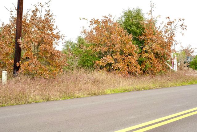 497 Cottletown RD, Smithville, TX 78957