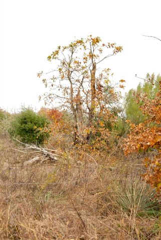 497 Cottletown RD, Smithville, TX 78957