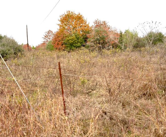 497 Cottletown RD, Smithville, TX 78957