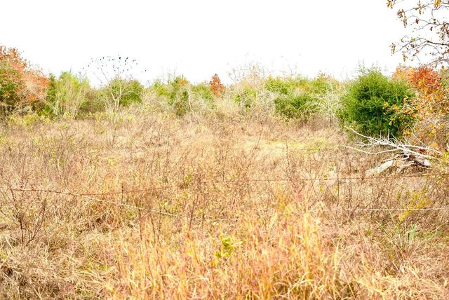 497 Cottletown RD, Smithville, TX 78957