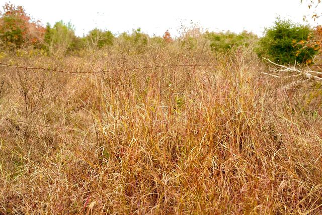 497 Cottletown RD, Smithville, TX 78957