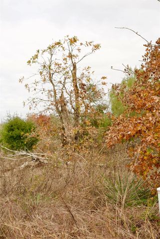 497 Cottletown RD, Smithville, TX 78957