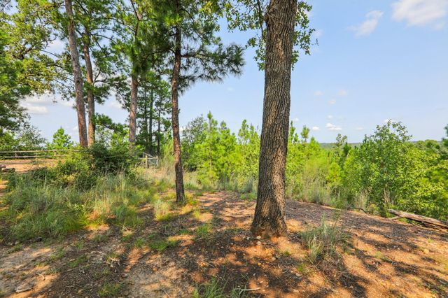 497 Cottletown RD, Smithville, TX 78957