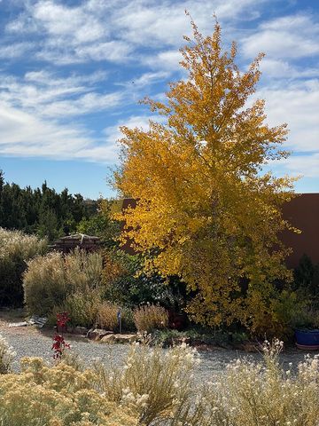 22 Mimosa Road, Santa Fe, NM 87508