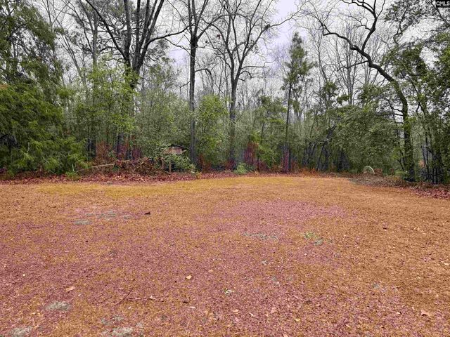 960 Old Charleston Road, Pelion, SC 29123