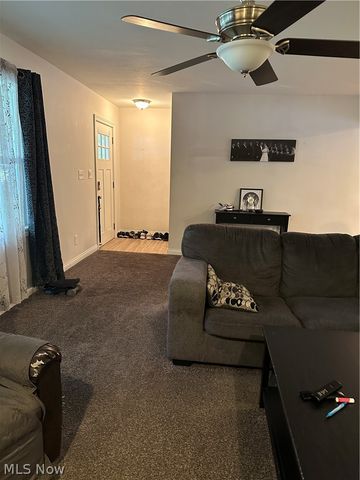4381 Magnolia Avenue, Perry, OH 44081