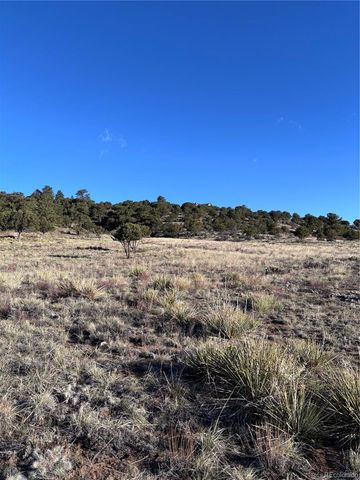 30499 Valley View, Buena Vista, CO 81211