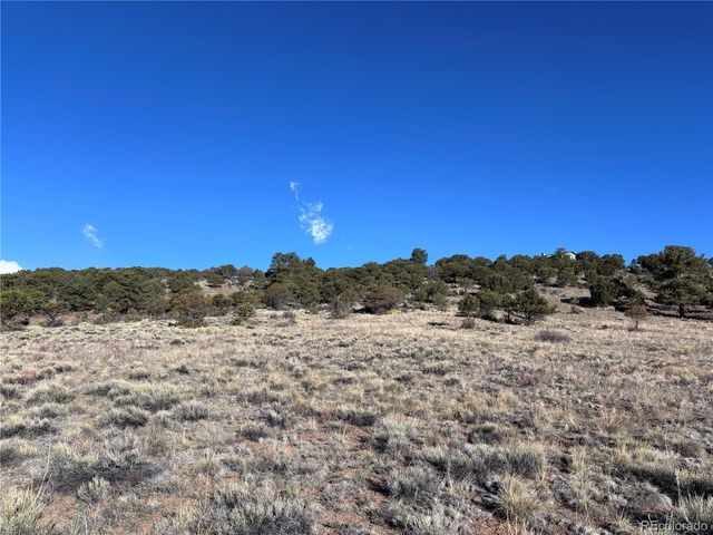 30499 Valley View, Buena Vista, CO 81211