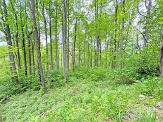 TBD Caldwell Mountain Road, Hot Springs, NC 28743