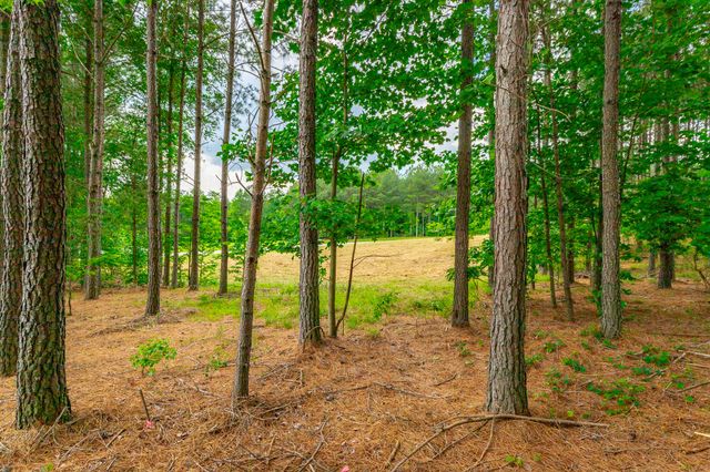 0 Crockett Loop 84, Jasper, TN 37347