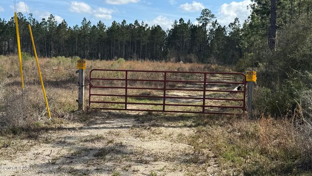 21703 Beech Valley Valley, Altha, FL 32421