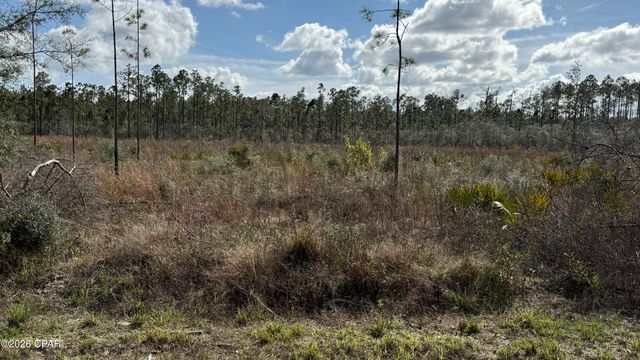 21703 Beech Valley Valley, Altha, FL 32421