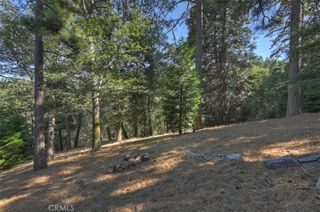 0 Pine, Cedarpines Park, CA 92322