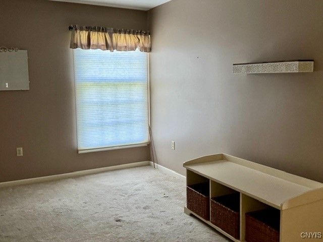 1136 The Park A, Cortlandville, NY 13045