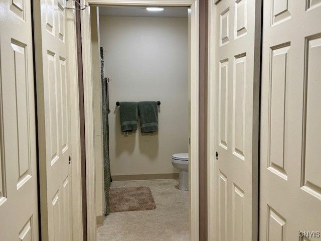 1136 The Park A, Cortlandville, NY 13045