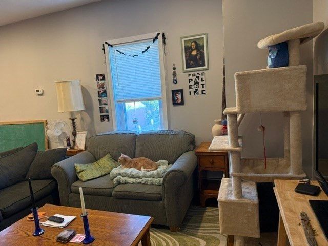 960 Cambridge St 3, Cambridge, MA 02141