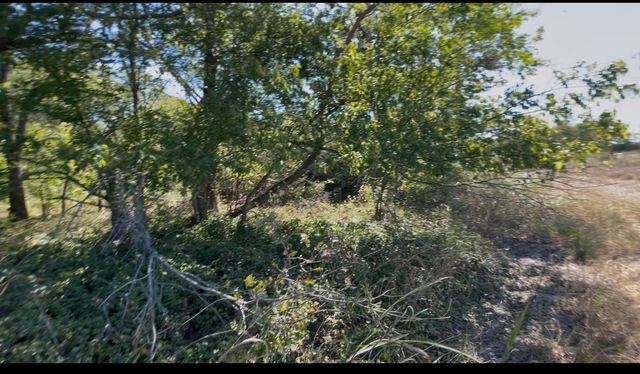 TBD COUNTY ROAD 4060, Kerens, TX 75144