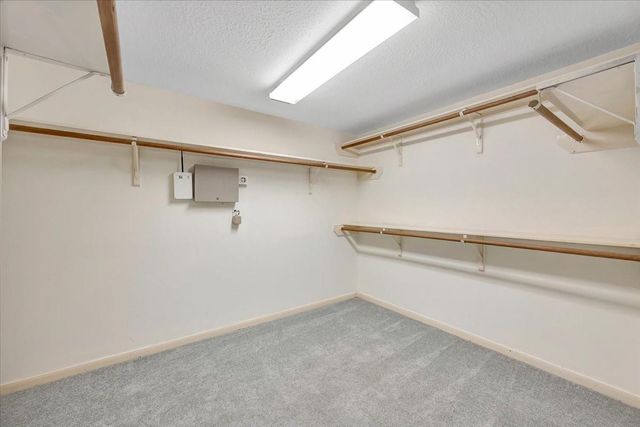 11715 Orchard Mountain Drive, Houston, TX 77059