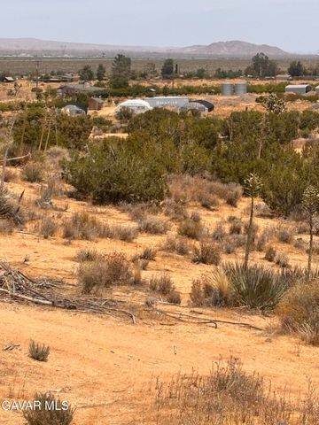 126 E 126 Ste Drt Vic Avenue W10 Ste Street, Pearblossom, CA 93553