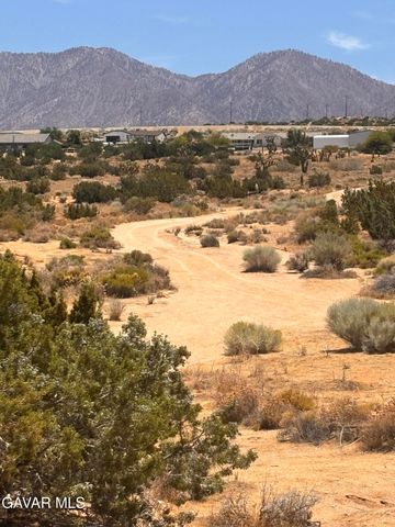 126 E 126 Ste Drt Vic Avenue W10 Ste Street, Pearblossom, CA 93553