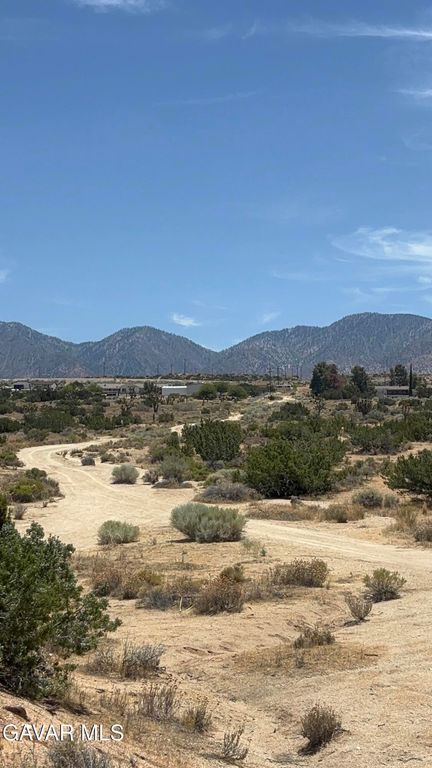 126 E 126 Ste Drt Vic Avenue W10 Ste Street, Pearblossom, CA 93553