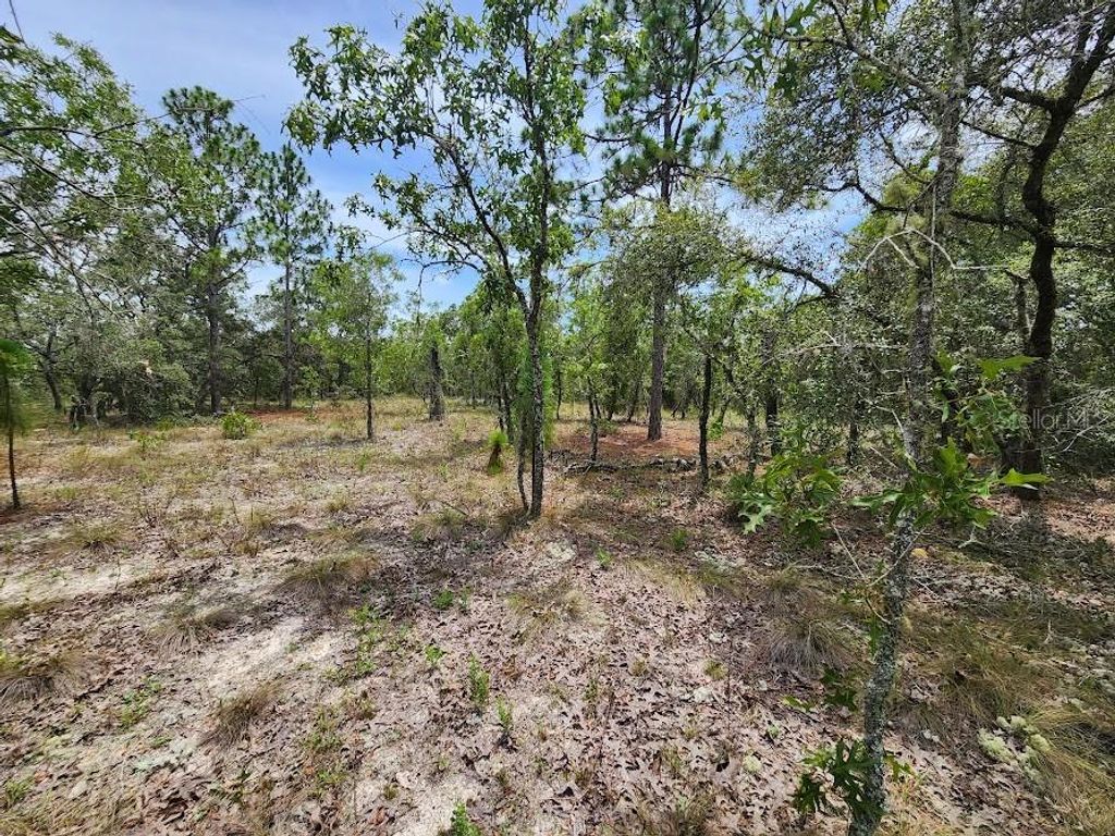 Lot 14 SW INDIAN HILL DRIVE, Dunnellon, FL 34432