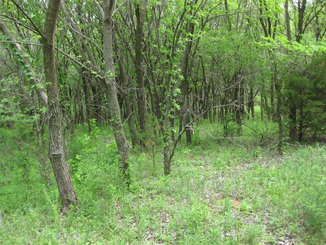 County Road 1250, Tuttle, OK 73089