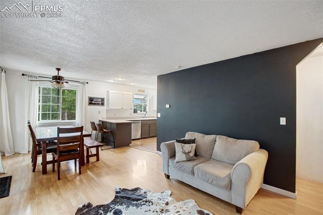 377 Ridge Road, Divide, CO 80814