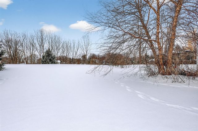 12241 Ives Meadow Lane, Cedar Springs, MI 49319