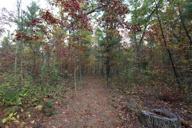 7005 E 56th Street, Newaygo, MI 49337