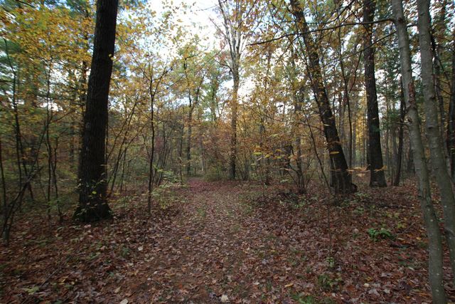 7005 E 56th Street, Newaygo, MI 49337