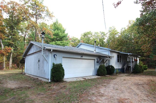 7005 E 56th Street, Newaygo, MI 49337