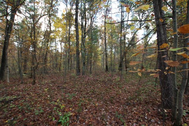 7005 E 56th Street, Newaygo, MI 49337