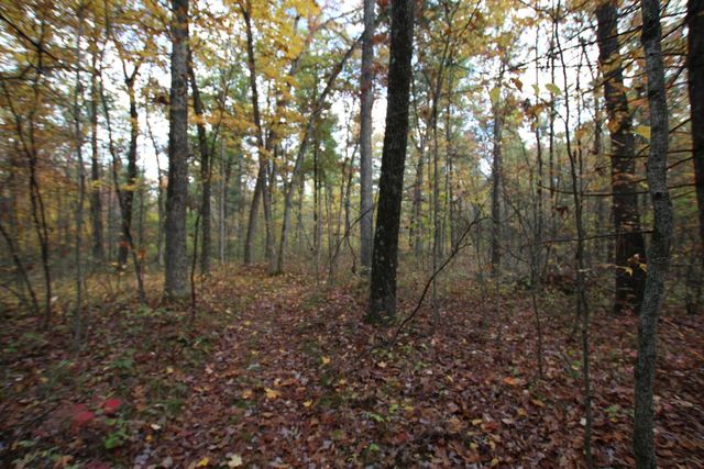 7005 E 56th Street, Newaygo, MI 49337