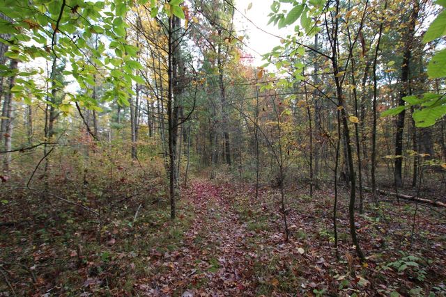 7005 E 56th Street, Newaygo, MI 49337