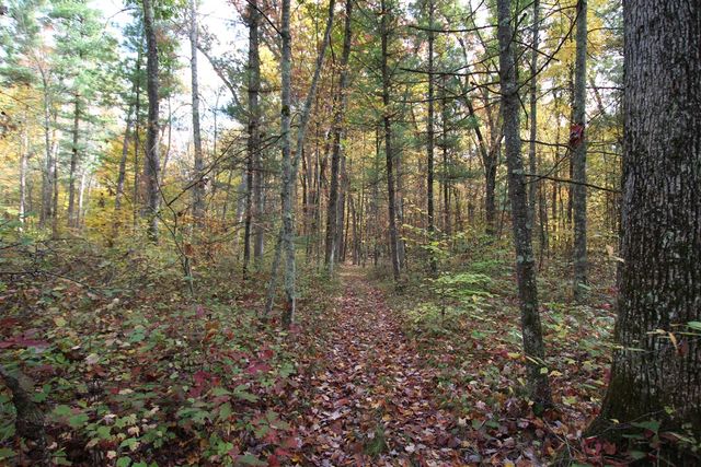 7005 E 56th Street, Newaygo, MI 49337