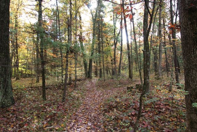 7005 E 56th Street, Newaygo, MI 49337